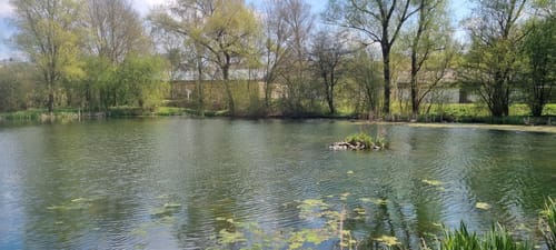 Der kleine Märker (Traumschleifchen)