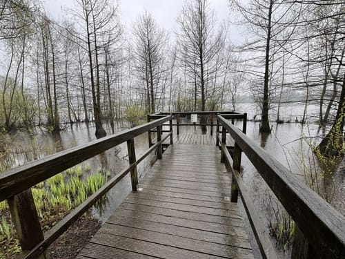 Um den Vörder See