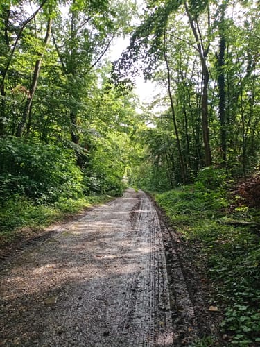 Römerkanal-Wanderweg Etappe 7: Brühl - Sülz