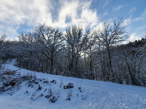 Eitzweiler: Mühlenberg Runde