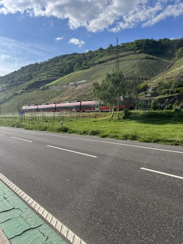 Saar-Mosel-Main Etappe 6: Treis-Karden - Koblenz