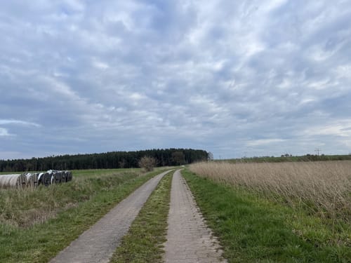 Rund um Unternibert und Sonnensee