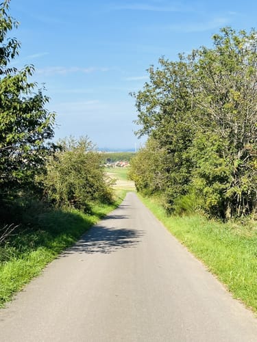 Aus Bonerath in den Osburger Wald