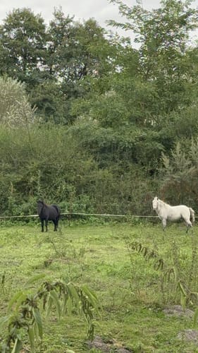 Erpetal Wanderweg
