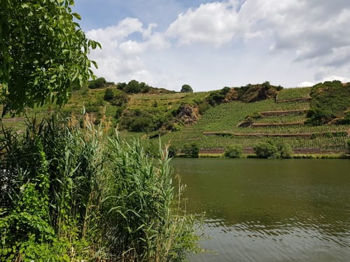 Von Trier nach Trittenheim