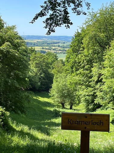 Naturparktrail Südteil-Schwalenberger Wald und Mörth