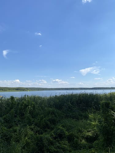 Um den Neuklostersee