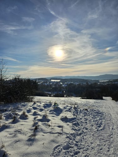 Eifelsteig Etappe 8: Mirbach - Hillesheim