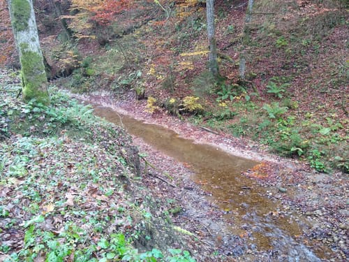 Von Kreuzthal entlang dem Eisenbach zum Schwarzen Grat