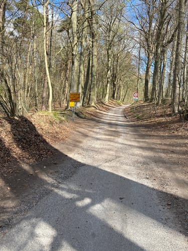 Rund um den Westensee