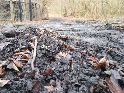 Klobichsee - Rundweg