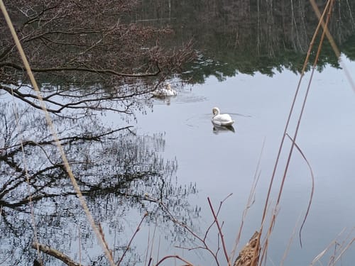 Klobichsee - Rundweg
