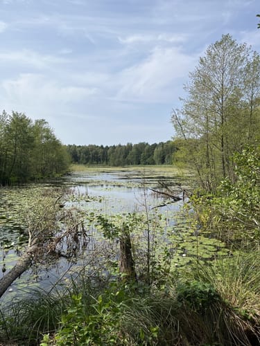 Wildnispfad auf den Stiftungsflächen Lieberose