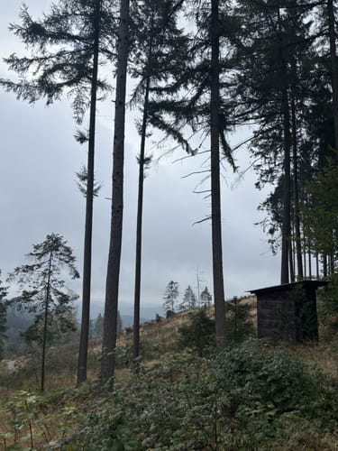 Kindelsbergpfad (Kreuztal, Kredenbach)