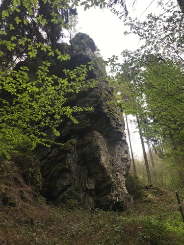 Kirchspiels Tälertour (Moselsteig Seitensprung)
