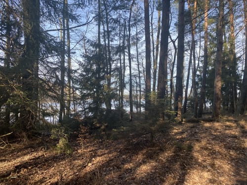 Boek - Preisterbäker See