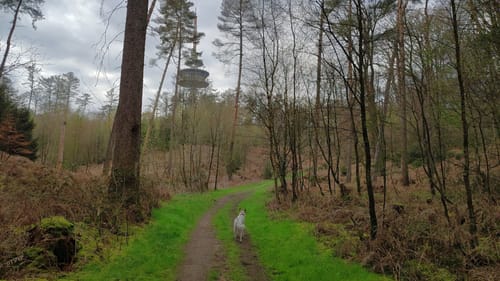 Rund um Holtwick - Wanderweg A1