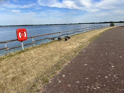 Ums Geester Speicherbecken