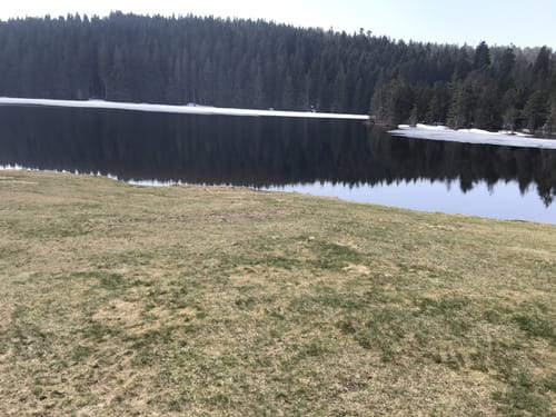 Um den Eschacher Weiher