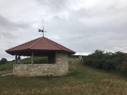 Kleiner Mainzer Höhenweg