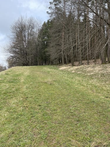 Theodor-Bauer-Weg (Fernwanderweg)
