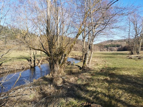 Nuhnehöhenweg (Premiumwanderweg)