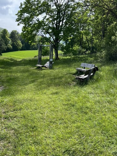 Dreifürstensteig (Premiumwanderweg)