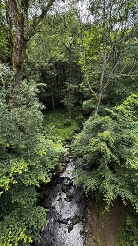 Durch das wilde Aubachtal