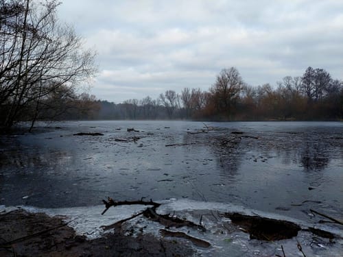 Naturschutzgebiet Mönchbruch ab Jagdschloss