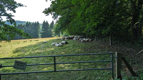 MTB Runde im Teutoburger Wald