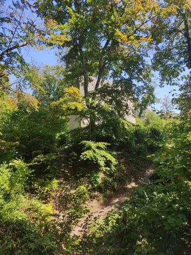 Aacher Geißbock (Premiumwanderweg)