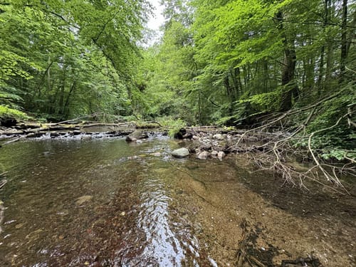 Nebeltal bei Kuchelmiss