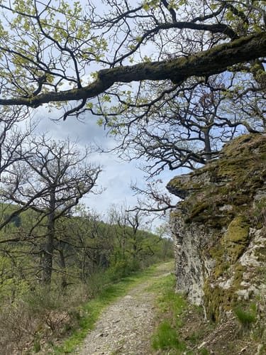 Hunoldstal - Altweilnau - Merzhausen