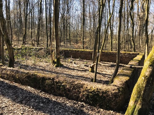 Kaltensteinpfad (Traumschleife)