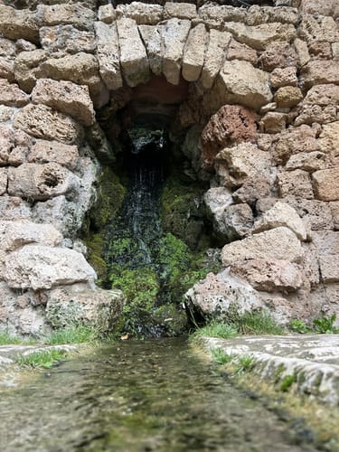 Durch den Schwetzinger Schloßpark