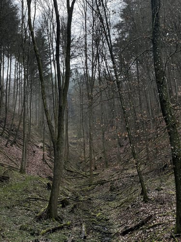 Von Mayen zum Bürresheim-Blick