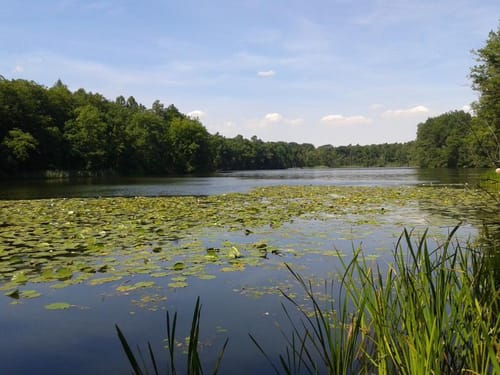 Netzen Große Seen Runde