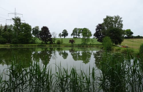 MTB Runde durch die Hohlwege am Schindelberg