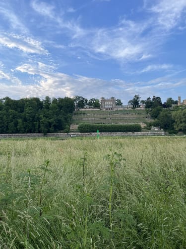Entlang der Elbe in Dresden