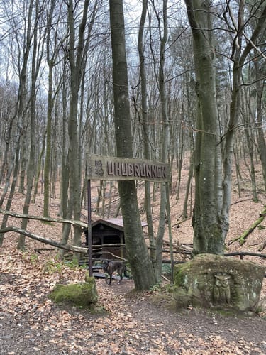 Hassel: Eulen-Rundwanderweg