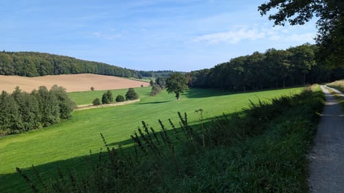 Langscheid Rundweg L4