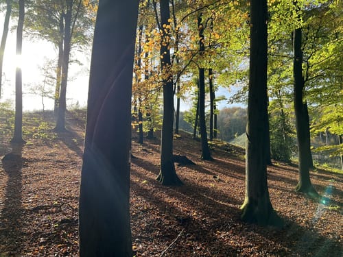 Teutoburger Wald, Schornstein und Hollandskopf
