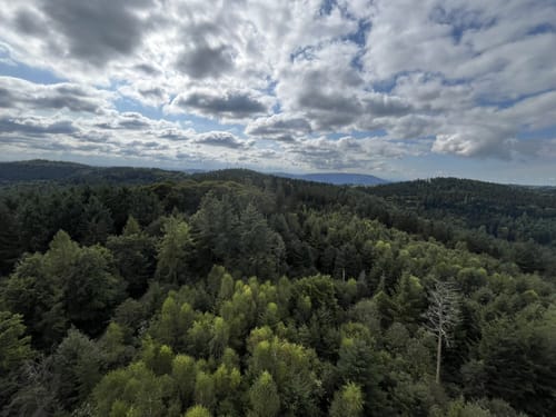 Um Wilhelmsfeld über den Teltschikturm