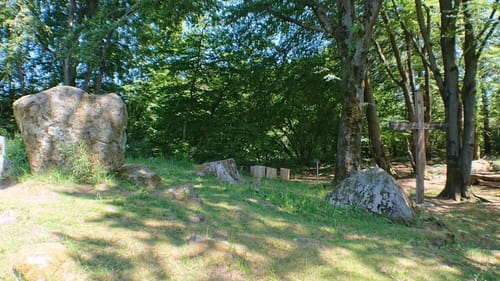 Haubentour (Extratour)
