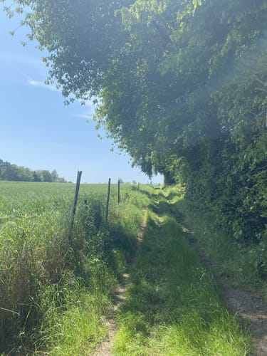 Apollinaris-Schleife (Premiumwanderweg)