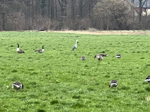 Neersen Rundwanderweg II