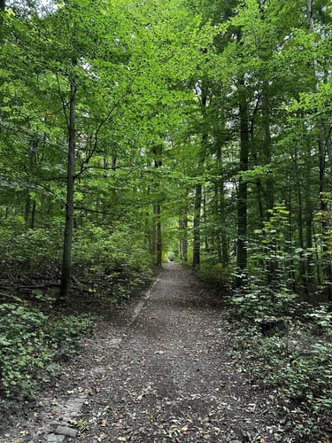 Rund um den Gysenberg