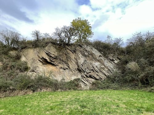Saar-Hunsrück-Steig Etappe 24: Oppenhausen - Boppard