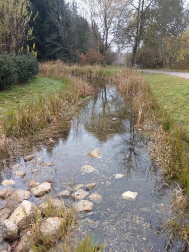 Weltwald Freising