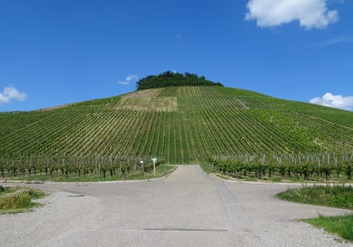 Zur Burg Neipperg und dem Hörnle